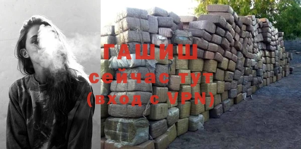 мдпв Гусев