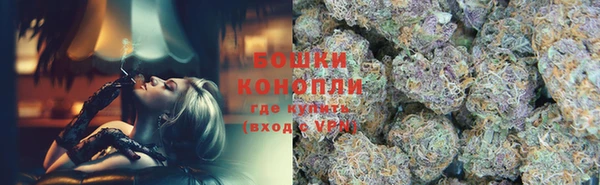 ешки Гусь-Хрустальный